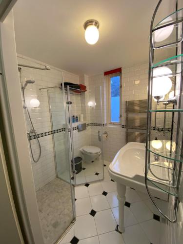 a bathroom with a shower and a sink and a toilet at Entire home, 3 bedrooms garden Strijp within ring in Eindhoven