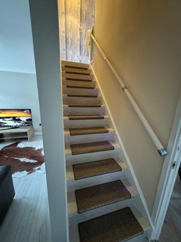 a set of stairs in a room with carpet at Cosy Glasgow Barrowlands stay-spacious & free parking in Glasgow