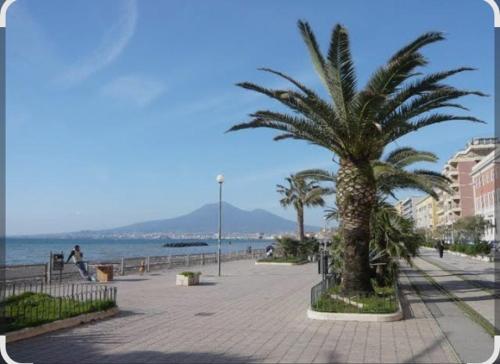 eine Palme auf einem Bürgersteig neben dem Strand in der Unterkunft Petit Maison in Castellammare di Stabia