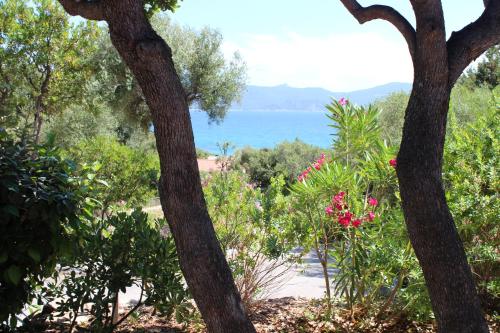 Φυσικό τοπίο κοντά σε αυτή η παραθεριστική κατοικία