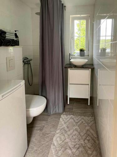a bathroom with a toilet and a sink and a mirror at Mini House With Sandy Beach And Sauna in Olofstorp