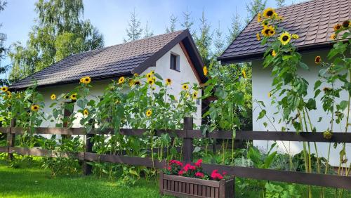 ein Zaun mit Sonnenblumen vor einem Haus in der Unterkunft Sielsko Anielsko Uniejów- domki całoroczne in Uniejów