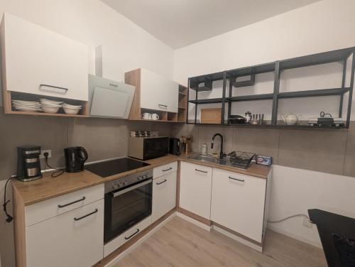 Kuchyň nebo kuchyňský kout v ubytování Samast Apartment