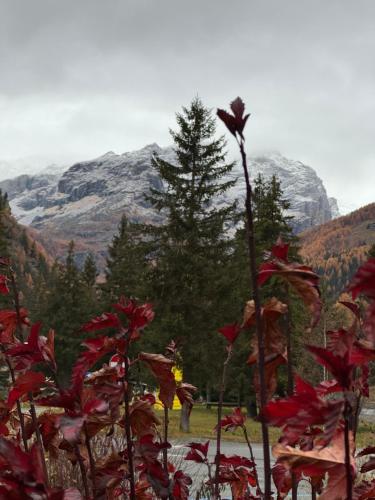 Nespecifikovaný výhled na hory nebo výhled na hory při pohledu z apartmánu