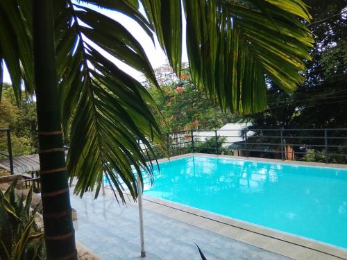 Φωτογραφία από το άλμπουμ του villa victoria divine σε Digana