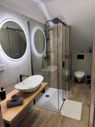 a bathroom with a shower and a sink at Apartmán Veronika in Humpolec