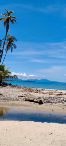 a beach with two palm trees and the ocean at Eco camping JASAL in Calabolo