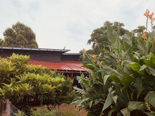 ein Gebäude mit rotem Dach und einigen Bäumen und Sträuchern in der Unterkunft Casa en La Barra para 5 in Punta del Este