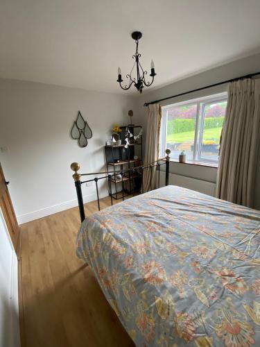 a bedroom with a bed and a window at Corrig View in Killenard