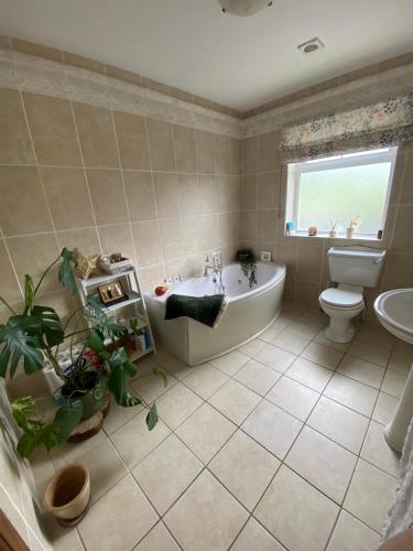 a bathroom with a tub and a toilet and a sink at Corrig View in Killenard
