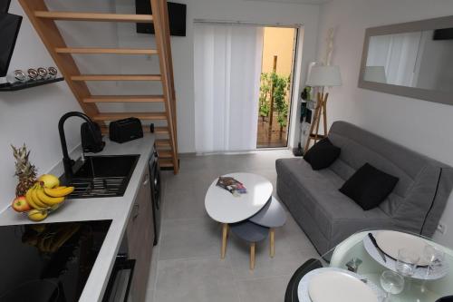 Le Gary cosy, studio climatisé, Dijon centre