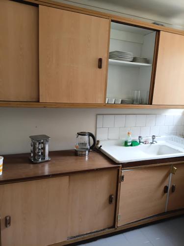 eine Küche mit Holzschränken und einer Spüle in der Unterkunft Casa Quinta Vergara in Viña del Mar