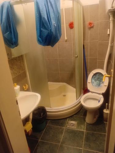 Ένα μπάνιο στο Sindi Apartman