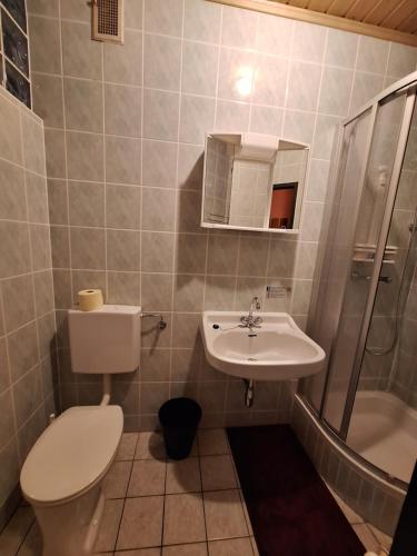 een badkamer met toilet en wastafel bij Pension Haus Marianne in Bad Vöslau