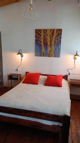 a bedroom with a large bed with two red pillows at Cabaña El Bordoneo in Villa Yacanto