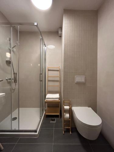 a bathroom with a shower and a toilet and a sink at Studio apartment ASKA in Jahorina