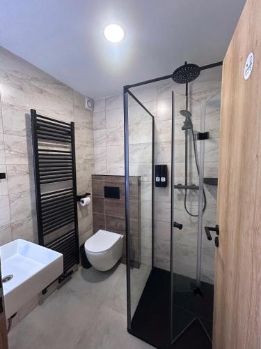 a bathroom with a shower and a toilet and a sink at Párty penzion Dolany in Čkyně