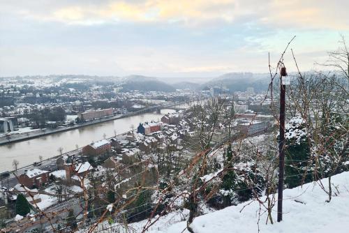 Imagen de la galería de Gîte du Bois Marie Vue exceptionnelle Piscine Salle de jeux 12 pers, en Huy