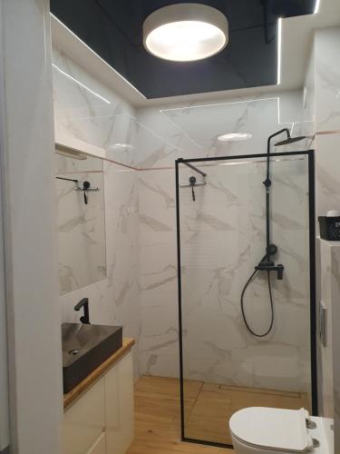ein Badezimmer mit Dusche, Waschbecken und Toilette in der Unterkunft Elegant Apartments FREE PARKING in Leszno