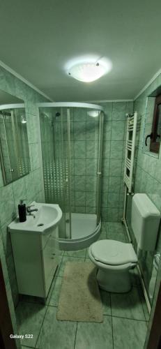 a bathroom with a toilet and a shower and a sink at La Neamțu in Văliug