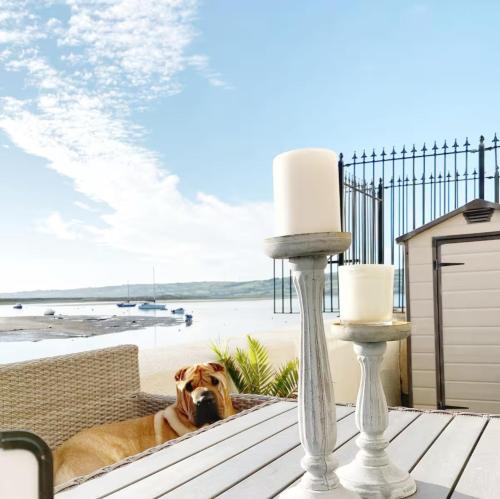 a dog laying on a table next to a beach at Dog-friendly Seaview Apartment in Dungarvan