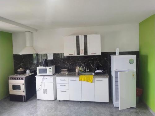 a kitchen with white appliances and green walls at Apart Cuyo in San Rafael