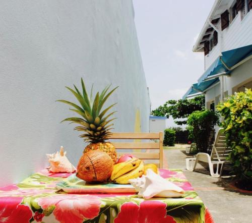 Zahrada ubytování Villa bougainvillier