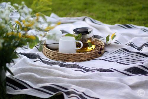 a picnic blanket with a basket of food and cups and flowers at Villa Slupečná in Lipno nad Vltavou