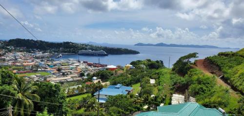 キングスタウンにあるM&G City View Apartmentsの町並みと水の流れ