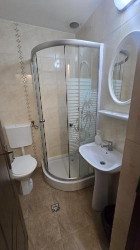 a bathroom with a shower and a toilet and a sink at Flamingo Hotel in Bistriţa