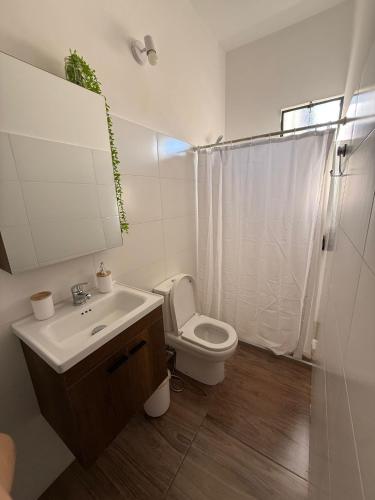 a bathroom with a toilet and a sink and a shower at Casa céntrica in Carmelo
