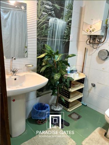 La salle de bains est pourvue d'un lavabo et d'une plante en pot. dans l'établissement Paradise Gates Madinaty, à Madinaty