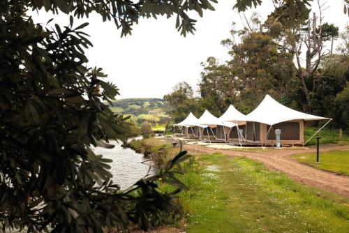 a row of tents next to a river at Apollo Bay Recreation Reserve in Apollo Bay