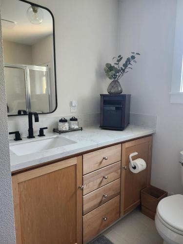 a bathroom with a sink and a mirror and a toilet at Saltline Studio in Tillamook