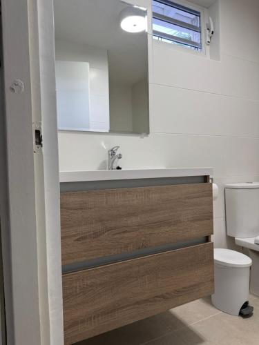a bathroom with a sink and a toilet and a mirror at Aqualife Best view apartment in Willemstad