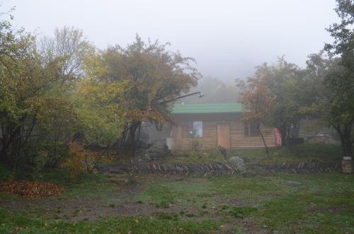 a house on a foggy day in the yard at Old Halidzor in Halidzor