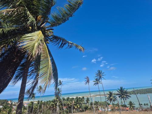 a group of palm trees on the beach at Barra do Cunhaú - Barra Mar in Canguaretama