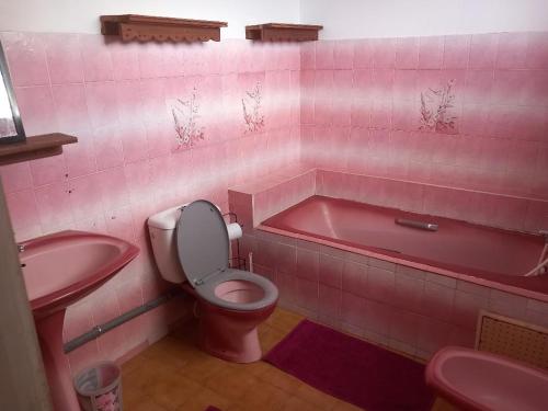 a pink bathroom with a toilet and a bath tub at Coin de verdure. Superbe vue mer de la baie de la belle commune de TRINITE -MARTINIQUE, calme, ventilé, situé à 2mns du bourg, des plages et commerces in La Trinité