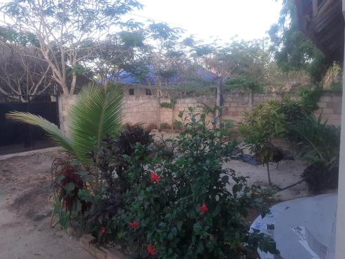 a garden with some plants and a brick wall at Faith Under Fire Villa in Migogoni