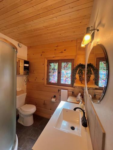a bathroom with a white sink and a toilet at Radium Cabins Centrally located in Radium Hot Springs BC in Radium Hot Springs