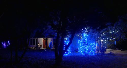a tree with blue lights in a yard at night at Hilltop Saltwater Pool and Hot Tub in Dripping Springs