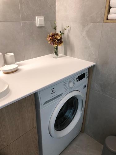 - un lave-linge sous un comptoir dans la salle de bains dans l'établissement BLACK PEARL FAMILY Apartments In CENTRUM, à Szczecin