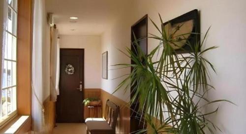 a hallway with a door and a plant at Petit Hotel Kashikojima Harbor in Shima