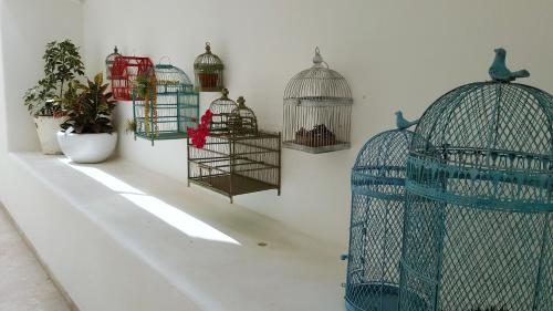 a cage with a bunch of birds in it at Hotel Catedral La Paz in La Paz