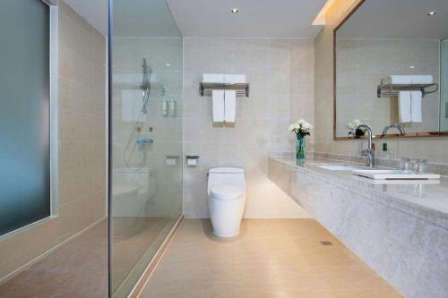 ein Badezimmer mit Toilette, Waschbecken und Dusche in der Unterkunft Vienna Hotel Guangdong Foshan West Station Airport Luocun in Huanshi