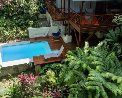 Πισίνα στο ή κοντά στο Villa Colibri - Secluded Villa - Short Stroll to Beach, Shops & Restaurants