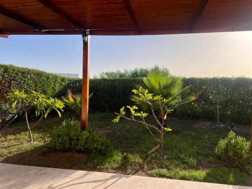 Gallery image of Naama Bay in Sharm El Sheikh