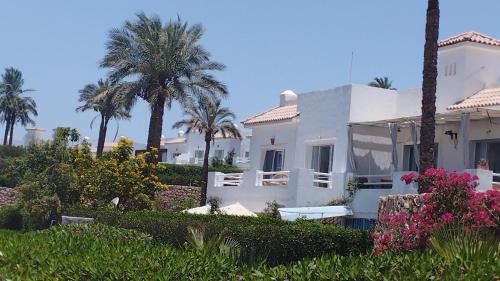 a white house with palm trees and bushes at Naama Bay in Sharm El Sheikh