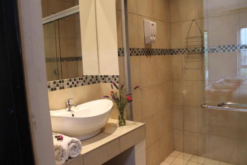 a bathroom with a sink and a shower at 3 Liebeloft Guest House in Edenvale
