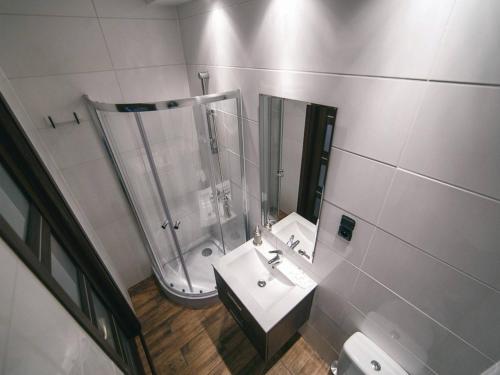 W łazience znajduje się prysznic, umywalka i lustro. w obiekcie Apartament Focha 26 w Bydgoszczy